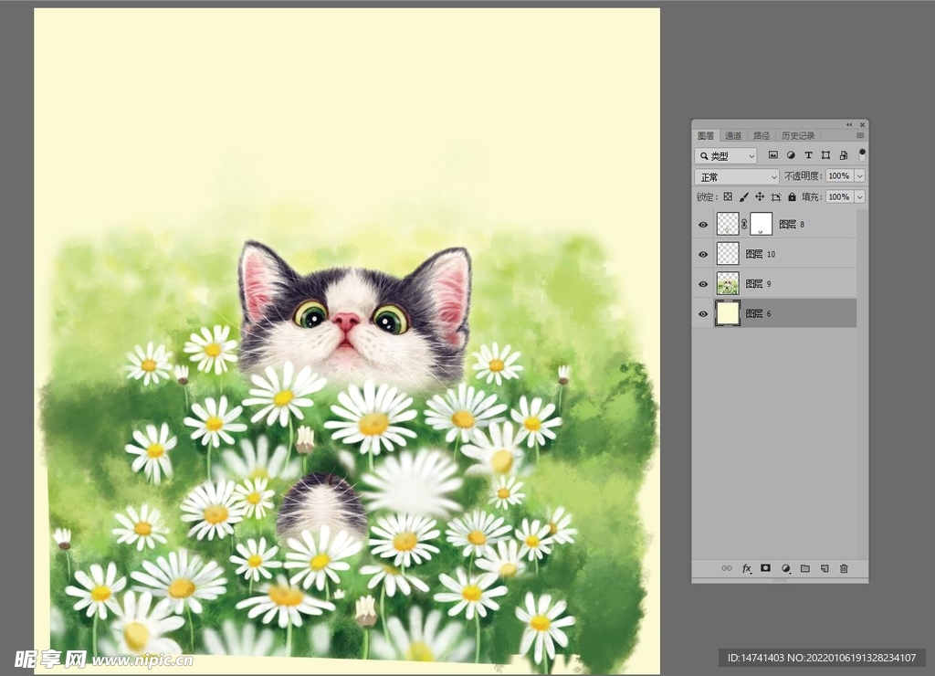 绿色花草中的可爱小猫咪