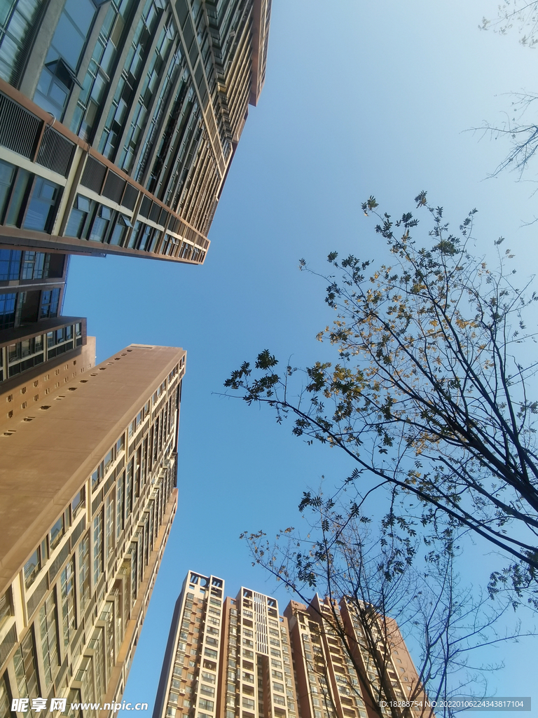 仰拍天空