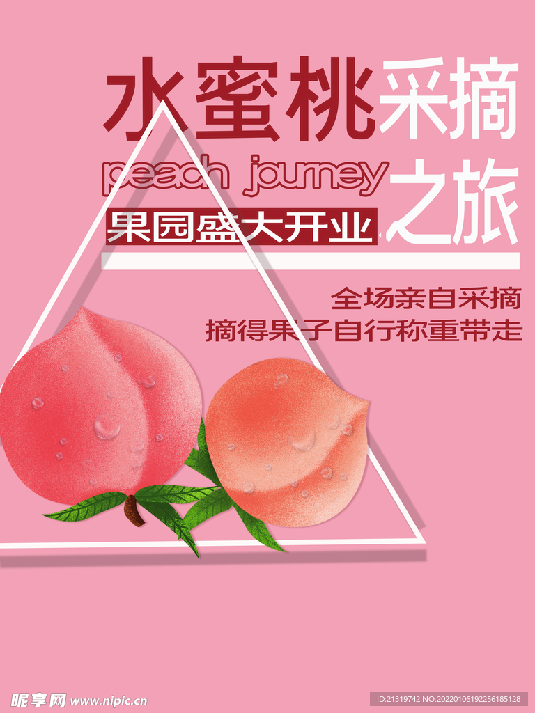 水蜜桃采摘