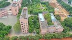 学校