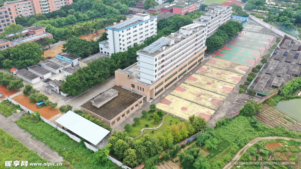 学校