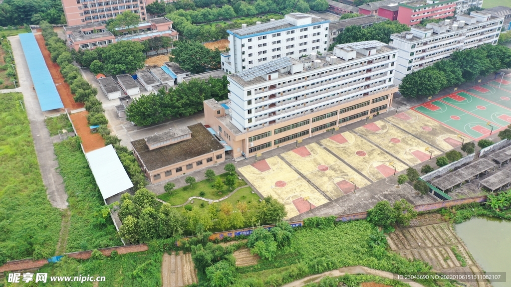 学校