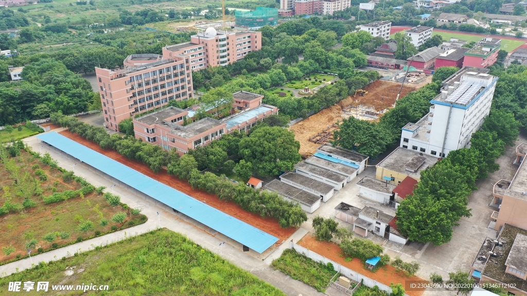 学校