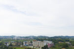 学校