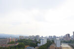 学校