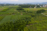风景