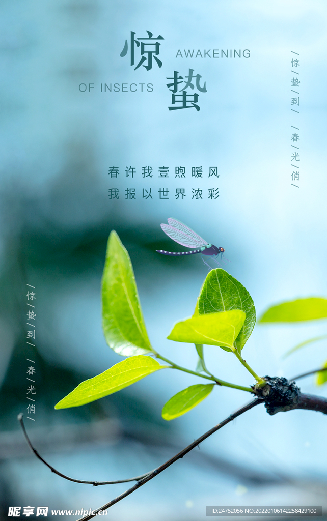 惊蛰