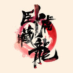 卧虎藏龙字体