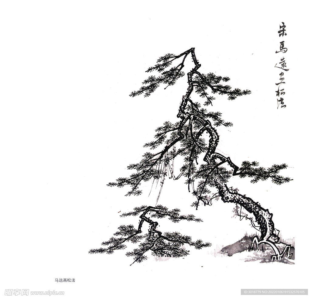 树木
