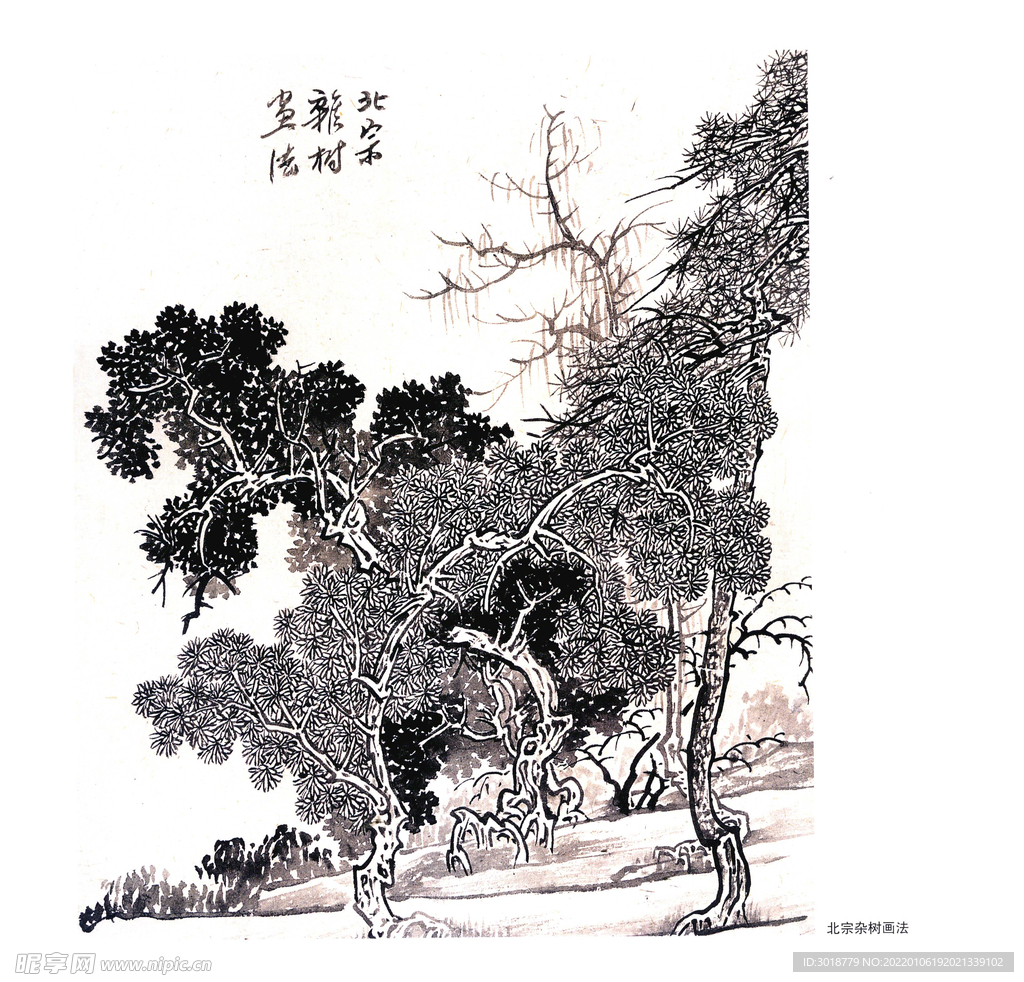 树木