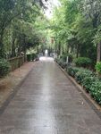 小路直路青石路