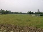绿地足球场