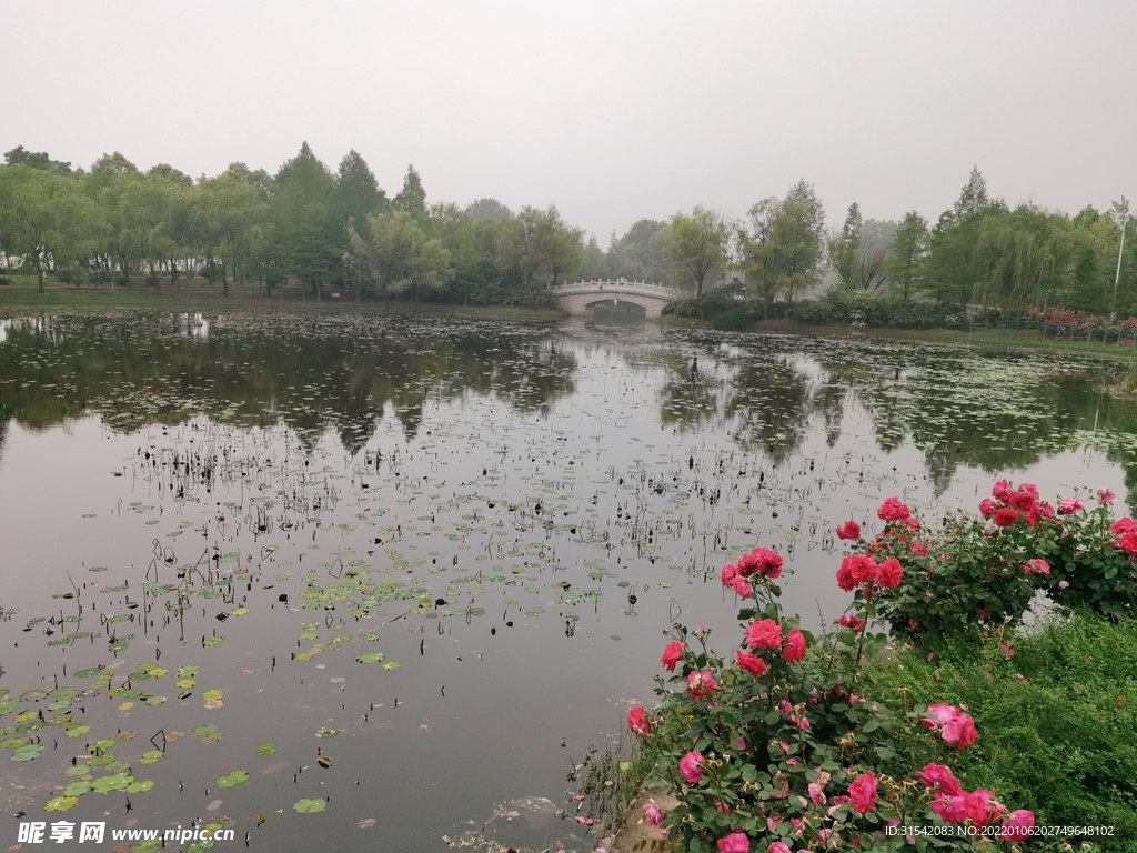 园林湖景