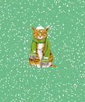 猫猫 雪花