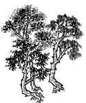 水墨画树木