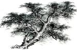 水墨画树木