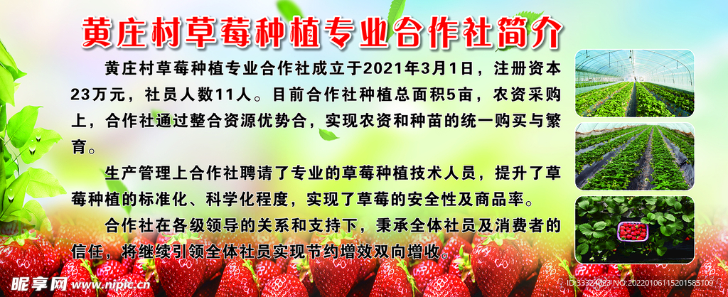 草莓种植合作社