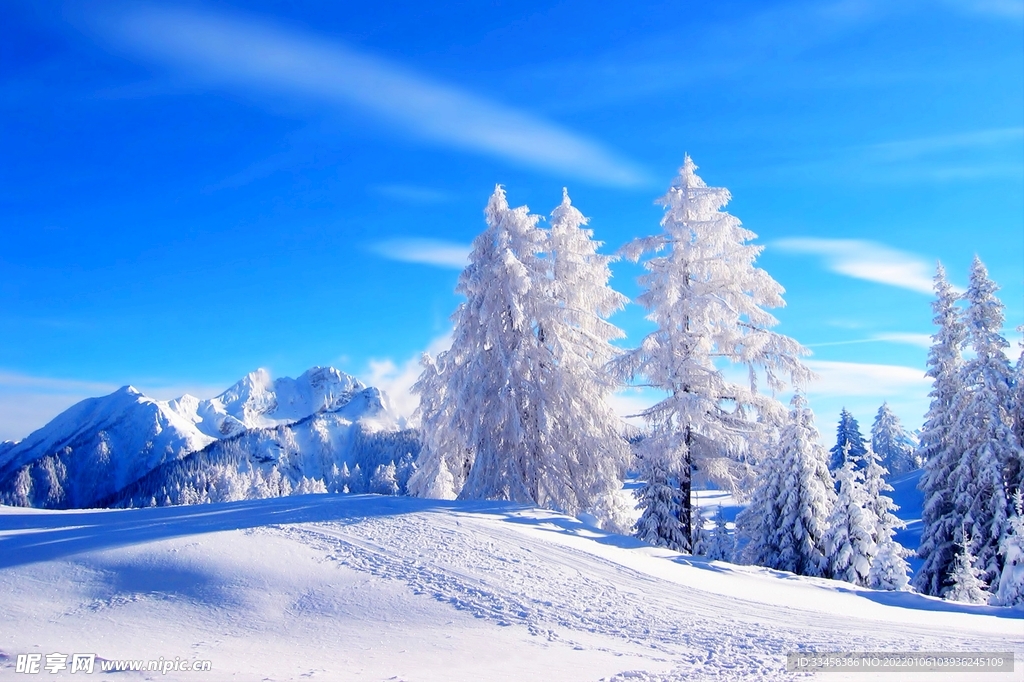 冬季 雪 自然 山 树林 风景