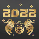 虎年2022金色