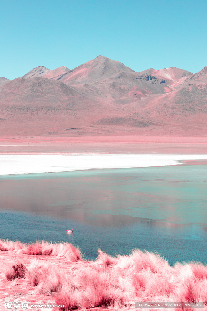 风景