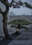 风景 