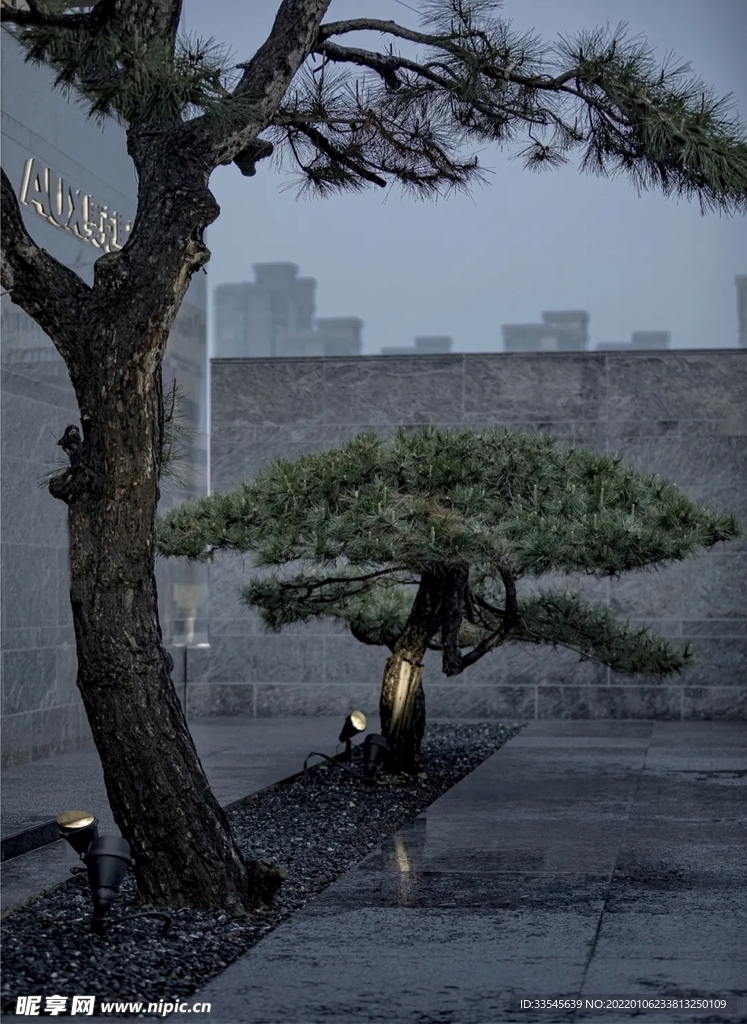 风景 