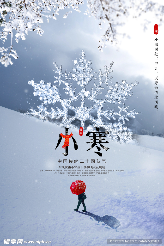 小寒雪花海报