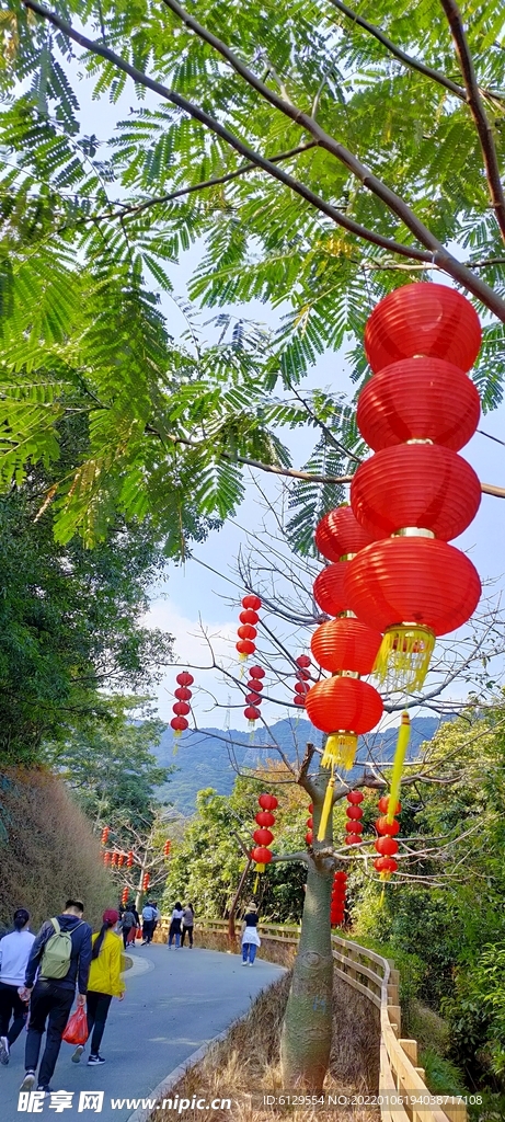 灯笼