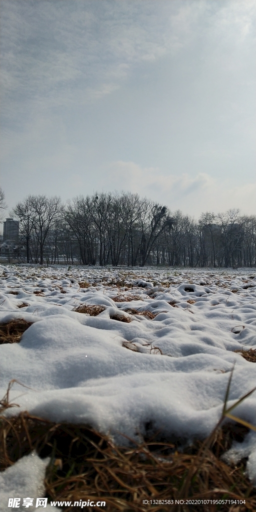 雪地风景图