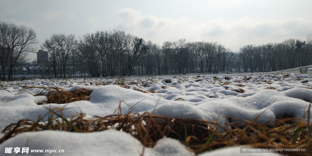 雪地风景图