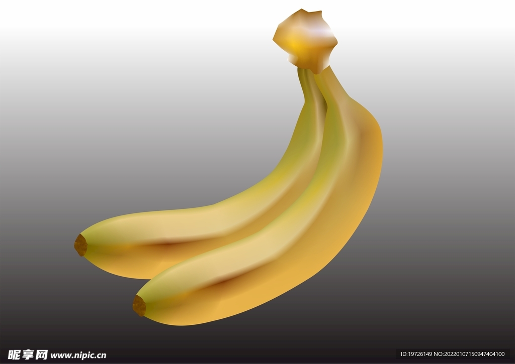 矢量水果香蕉