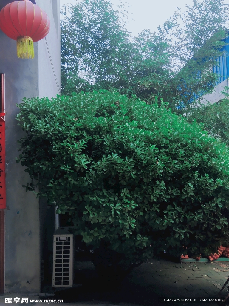 小院儿