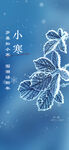 小寒  微信稿