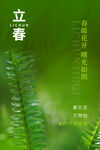 立春