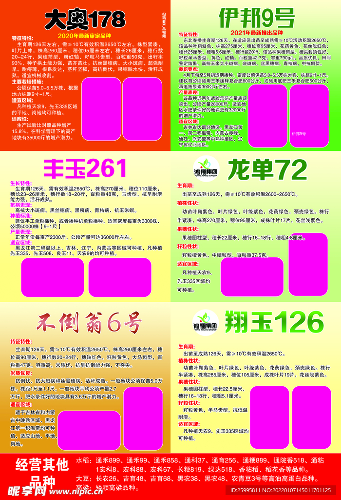 种子