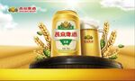 燕京精酿啤酒海报