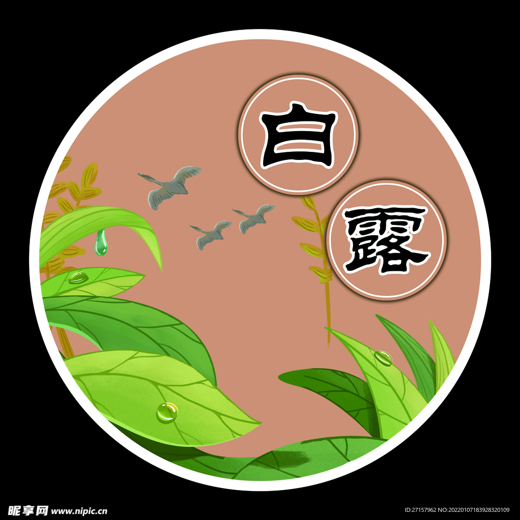 白露