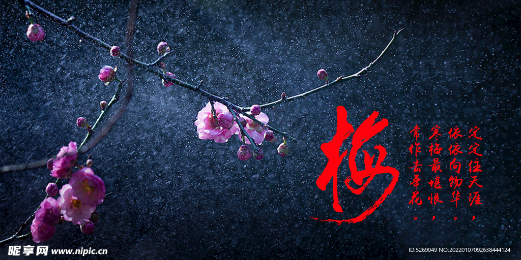 梅