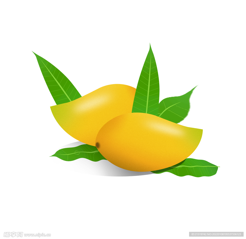 手绘芒果