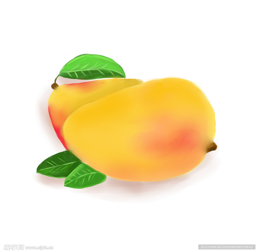 芒果插画
