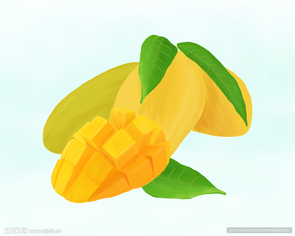 芒果插画
