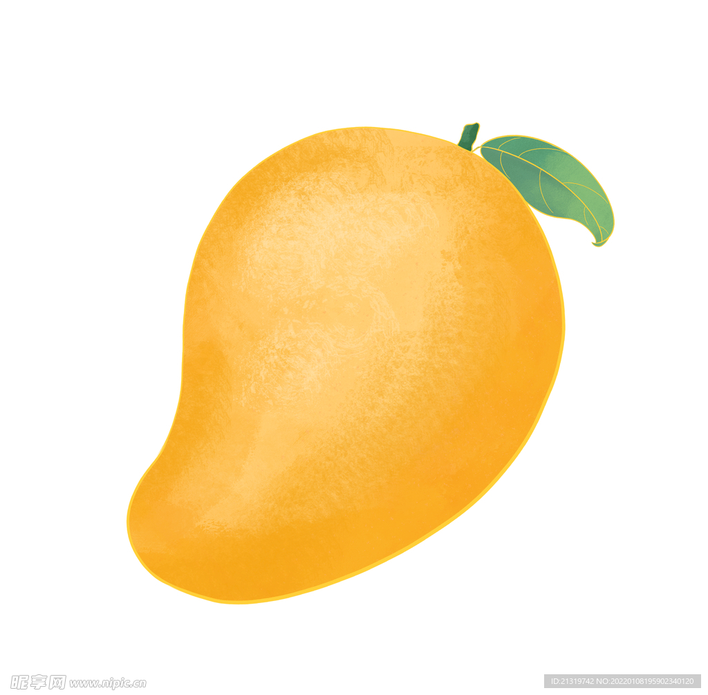 芒果插画