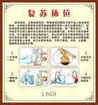 健康宣教 复苏体位