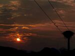 鸟窝 夕阳
