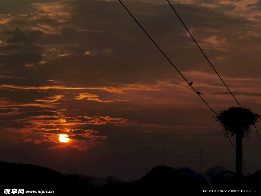 鸟窝 夕阳