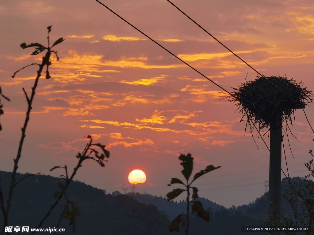 夕阳鸟窝