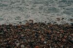 海