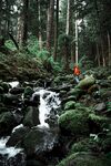 山