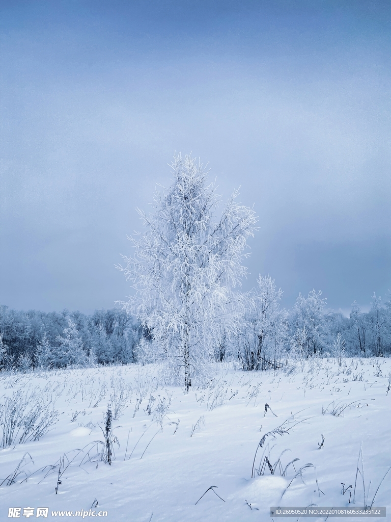 雪景