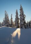 雪景